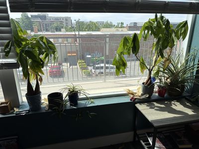 Plants!