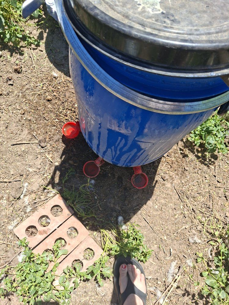 Main image 6