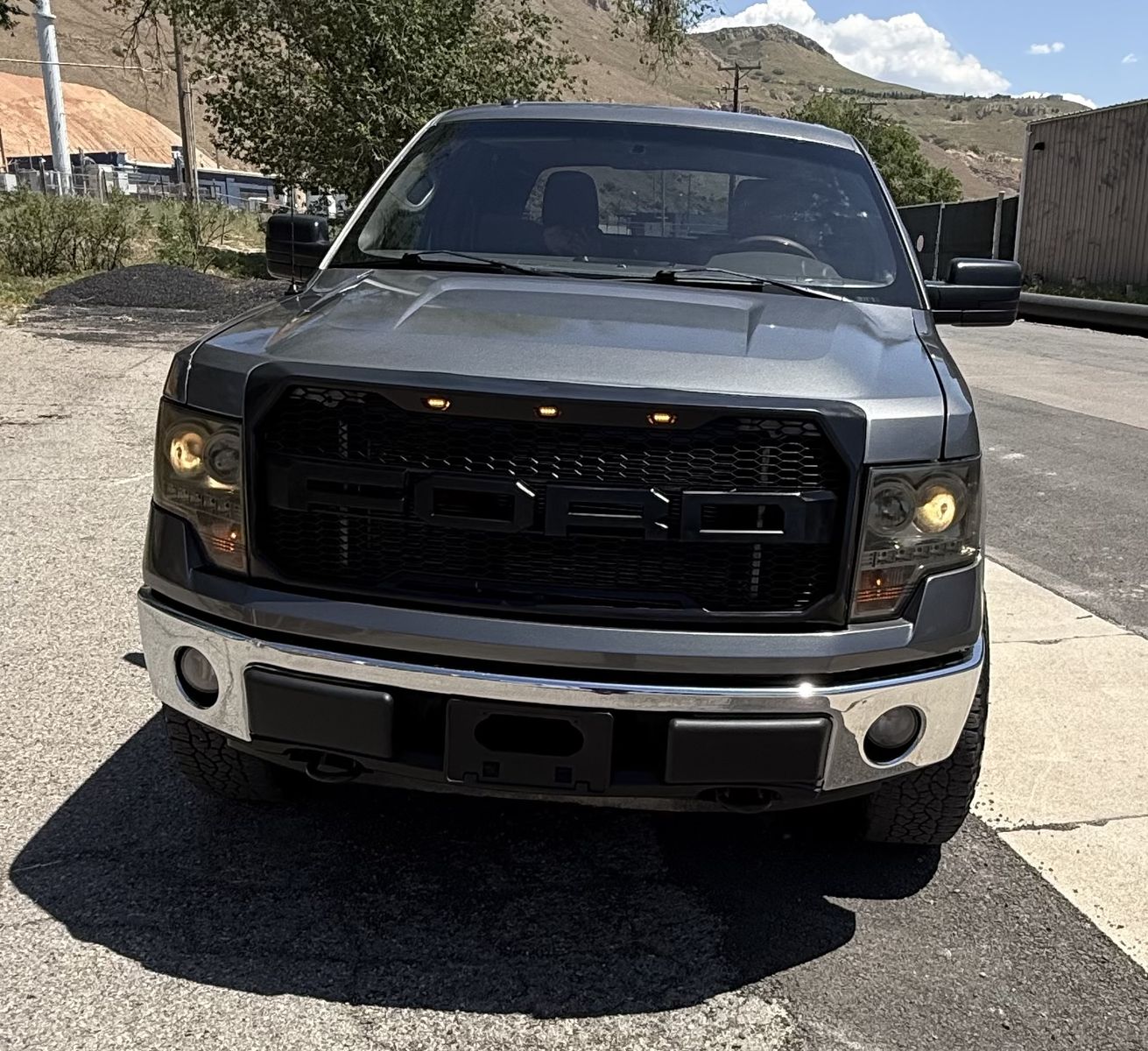 2010 Ford F-150 Platinum