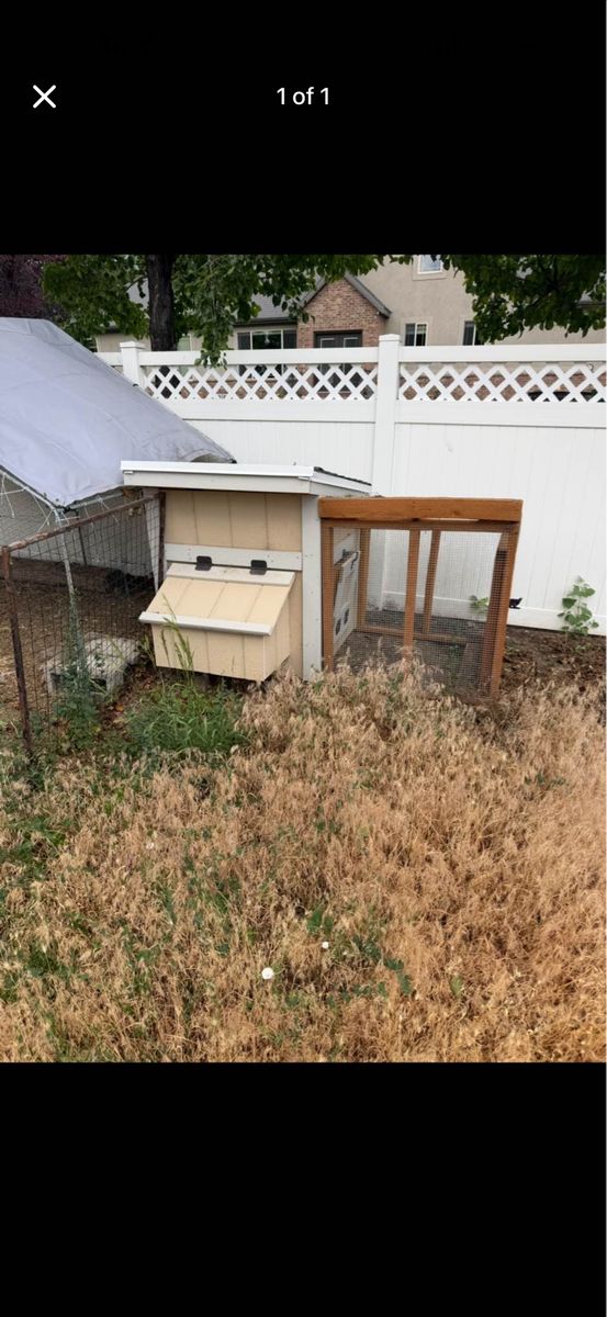 Chicken Coop
