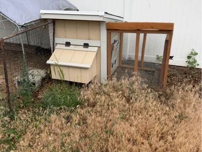 Chicken Coop