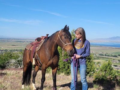 Partial lease 9 year old mare.