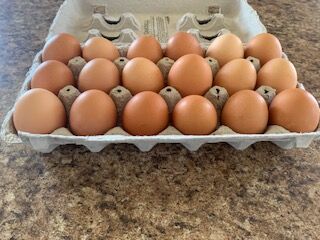 Farm Fresh Eggs!!!