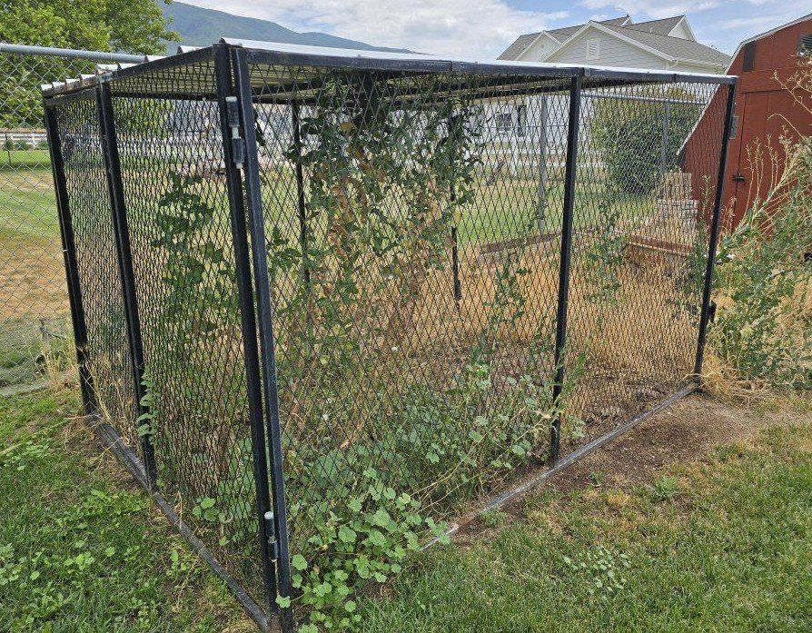 Chicken Coop Run Cage 8x6x5