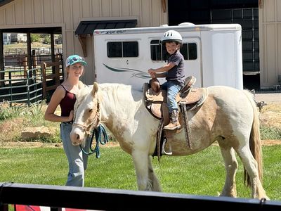 GORGEOUS GYPSY MARE
