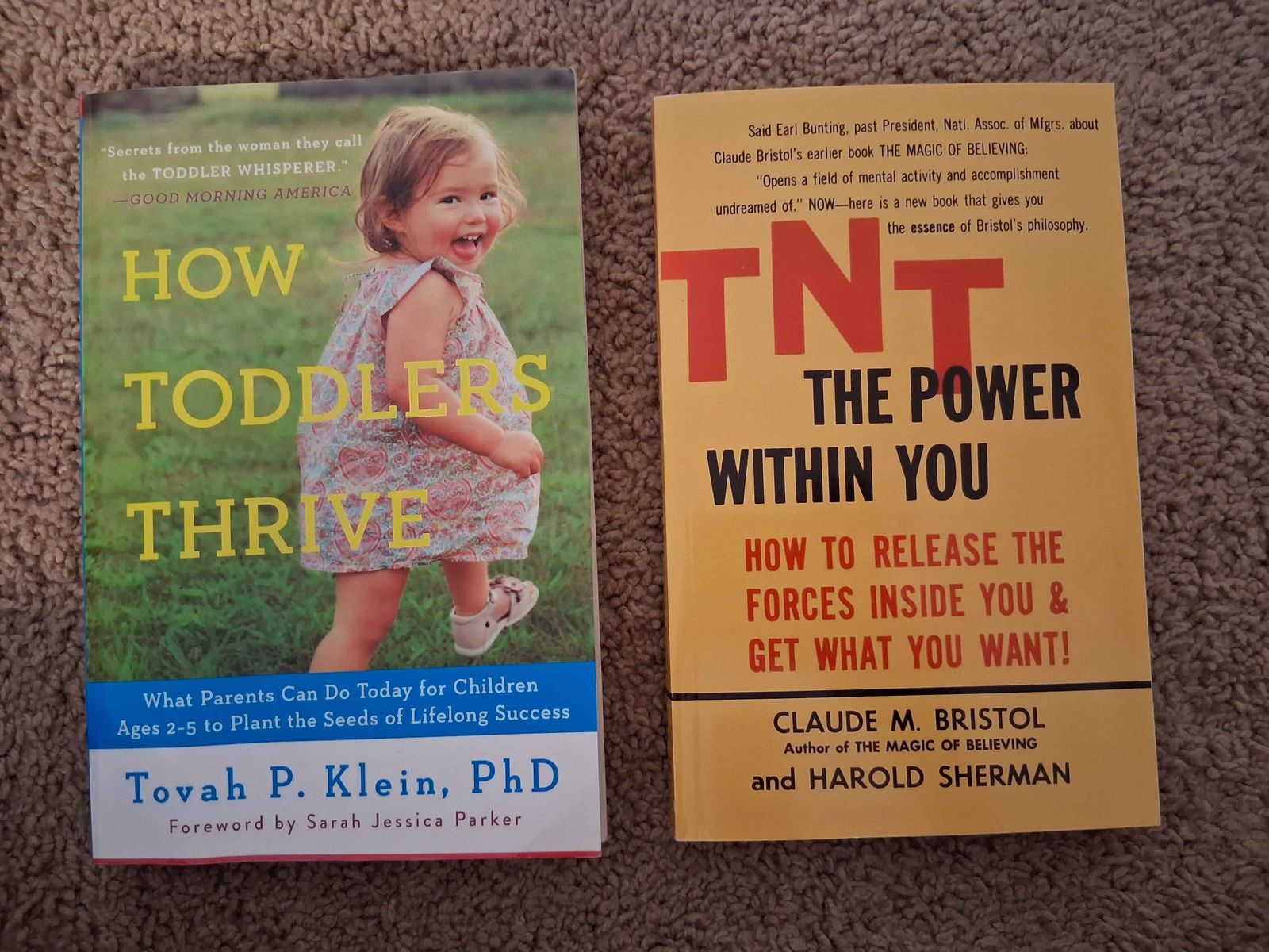 Mom Motivational Books for Cheap! Moving Sale!