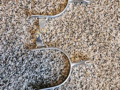 Steel Spurs with mild brass rowels