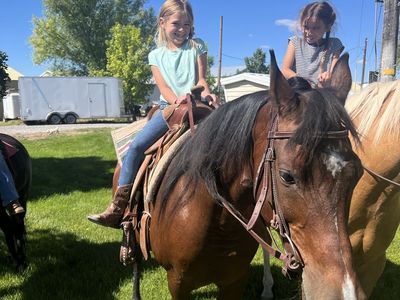 18 year old registered Arabian Mare