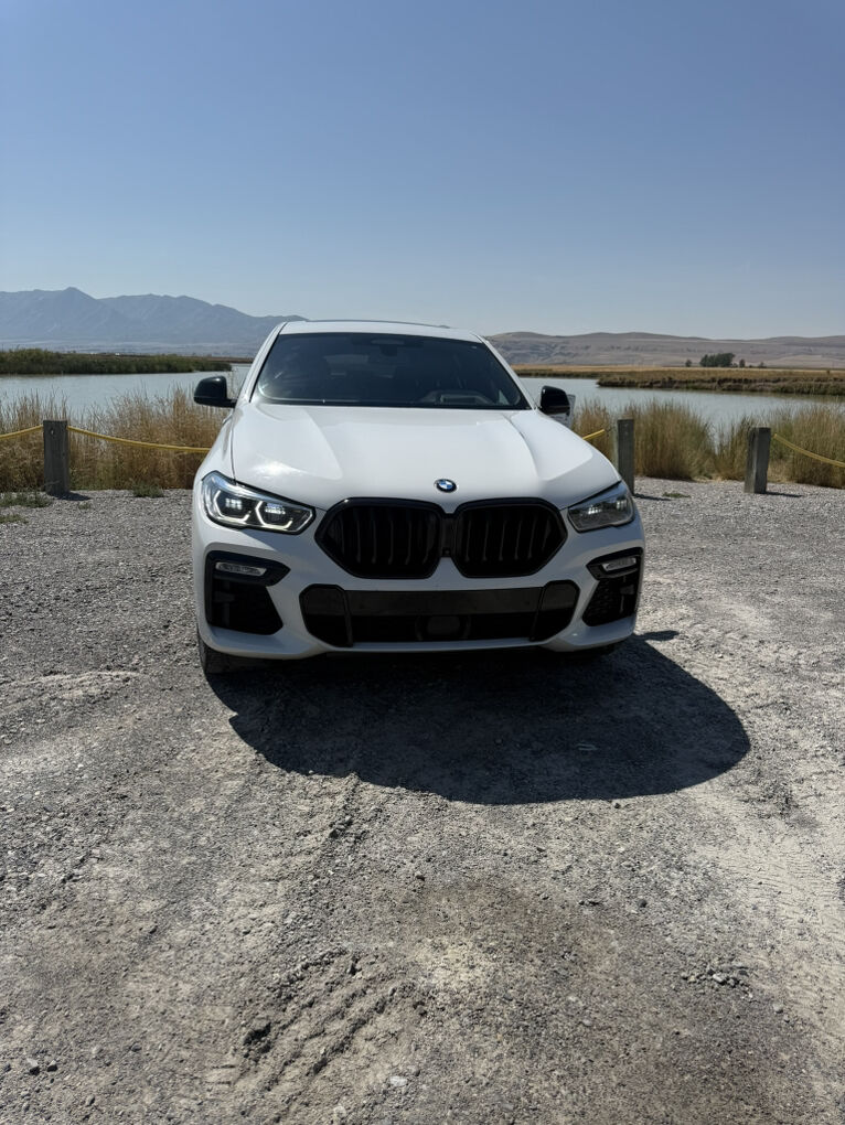 2020 BMW X6 