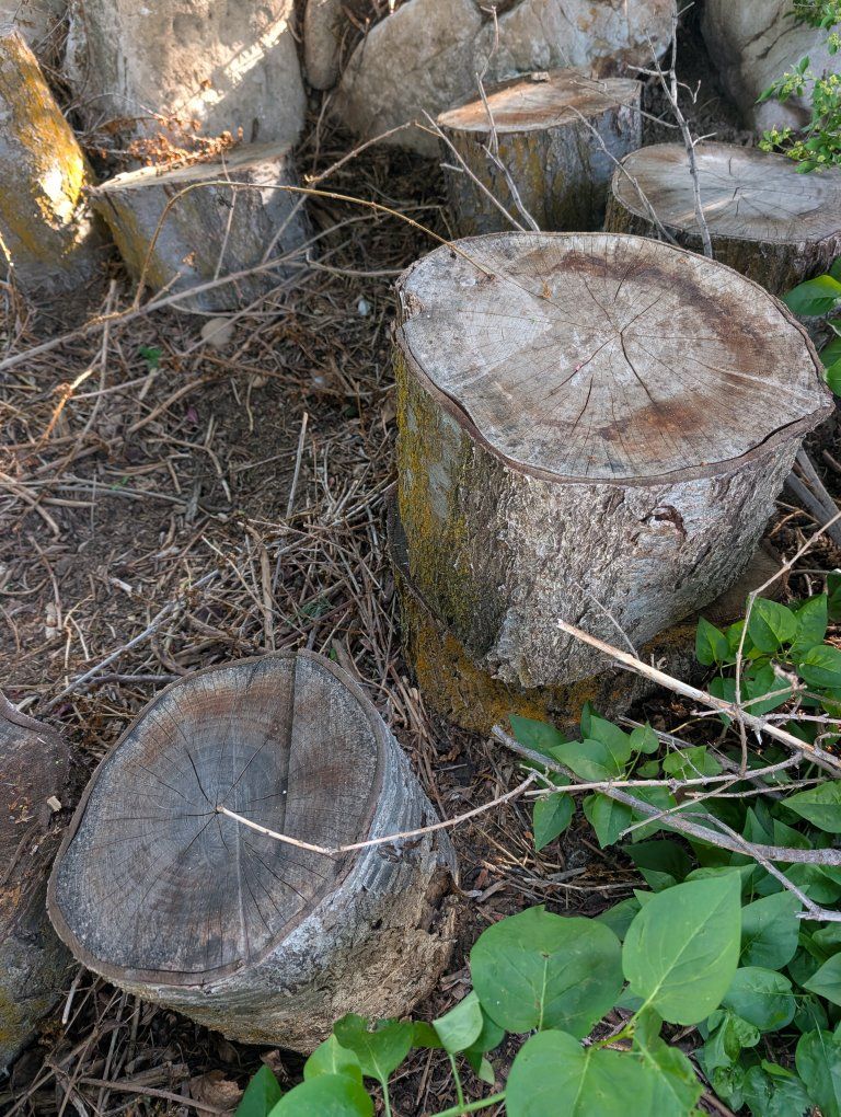 Main image 5