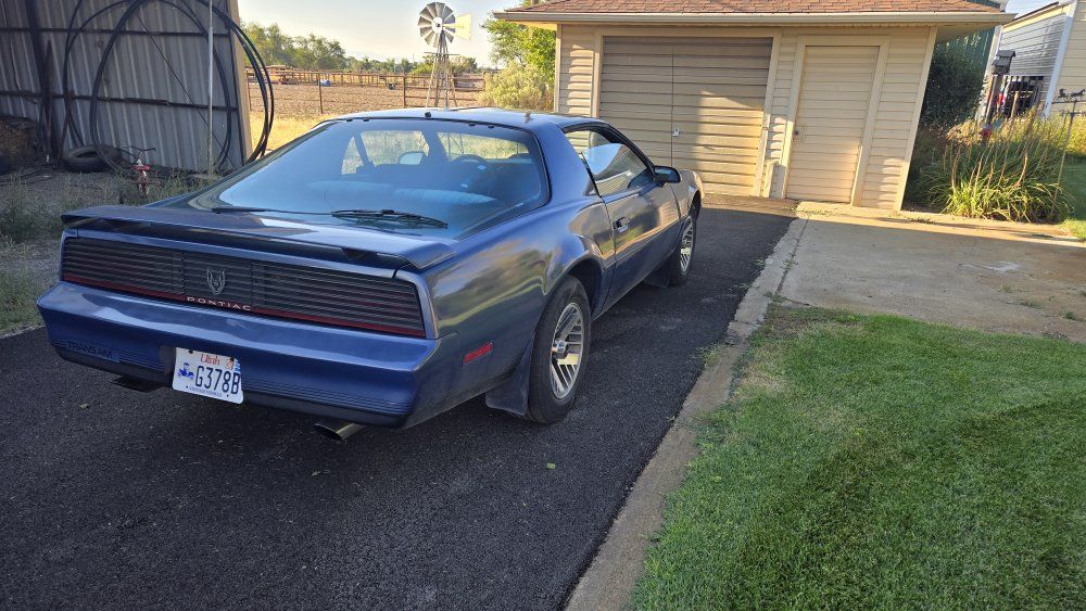 1984 Pontiac Firebird 