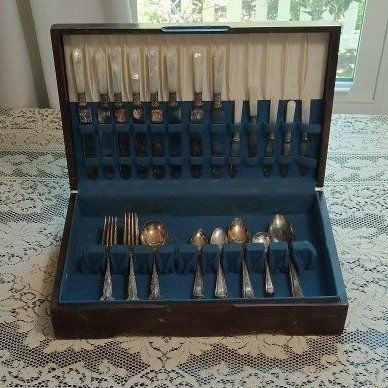Vintage Mother of Pearl Handle Silverware Set in Wooden Case - Mixed Flatware Collection