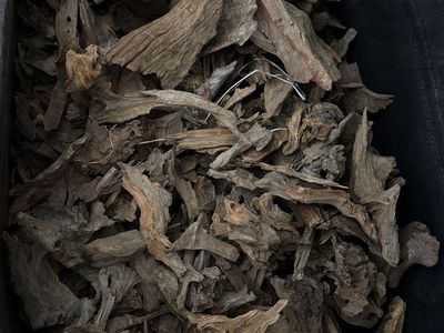 Malaysian driftwood