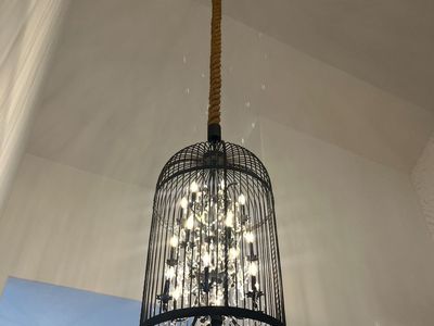 Black Birdcage 18-Light Chandelier