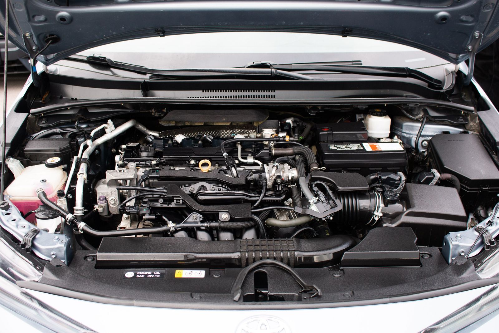 Main image 4