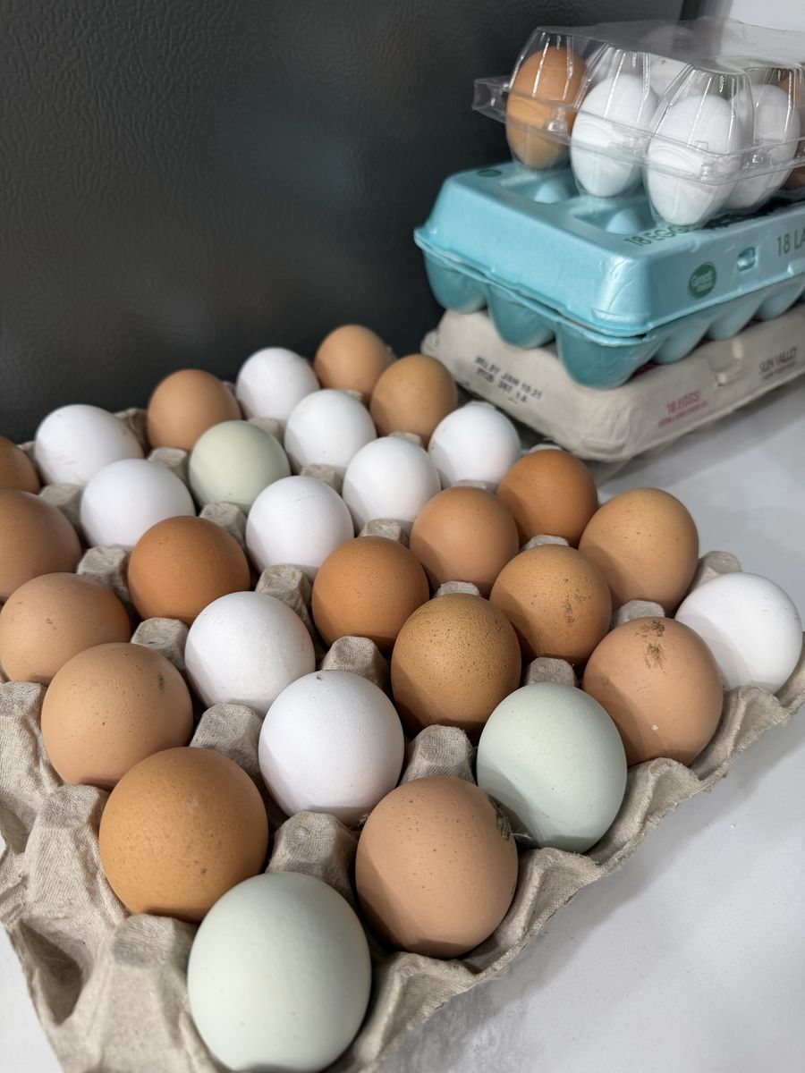 Fresh eggs