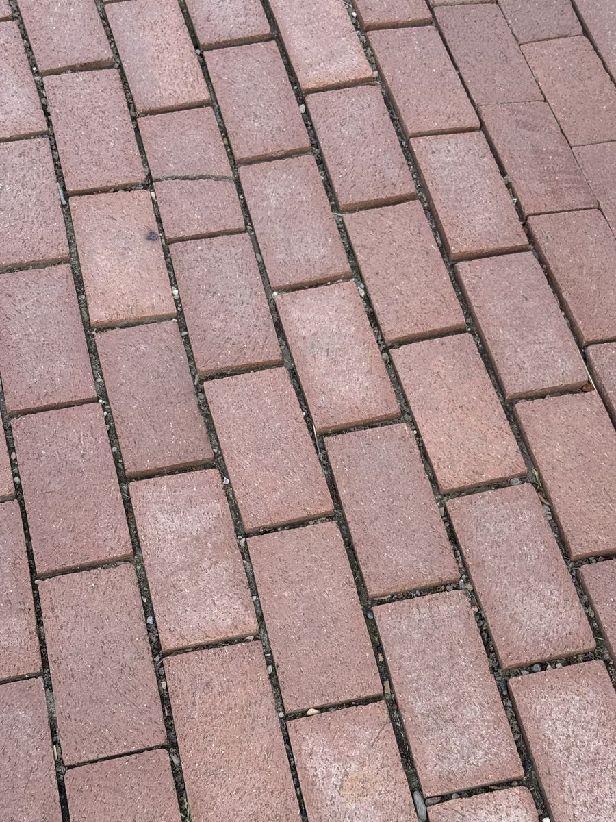 Used Red Americana brick pavers for sale