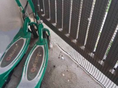 e300 electric razor scooter