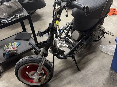 2009 genuine buddy scooter