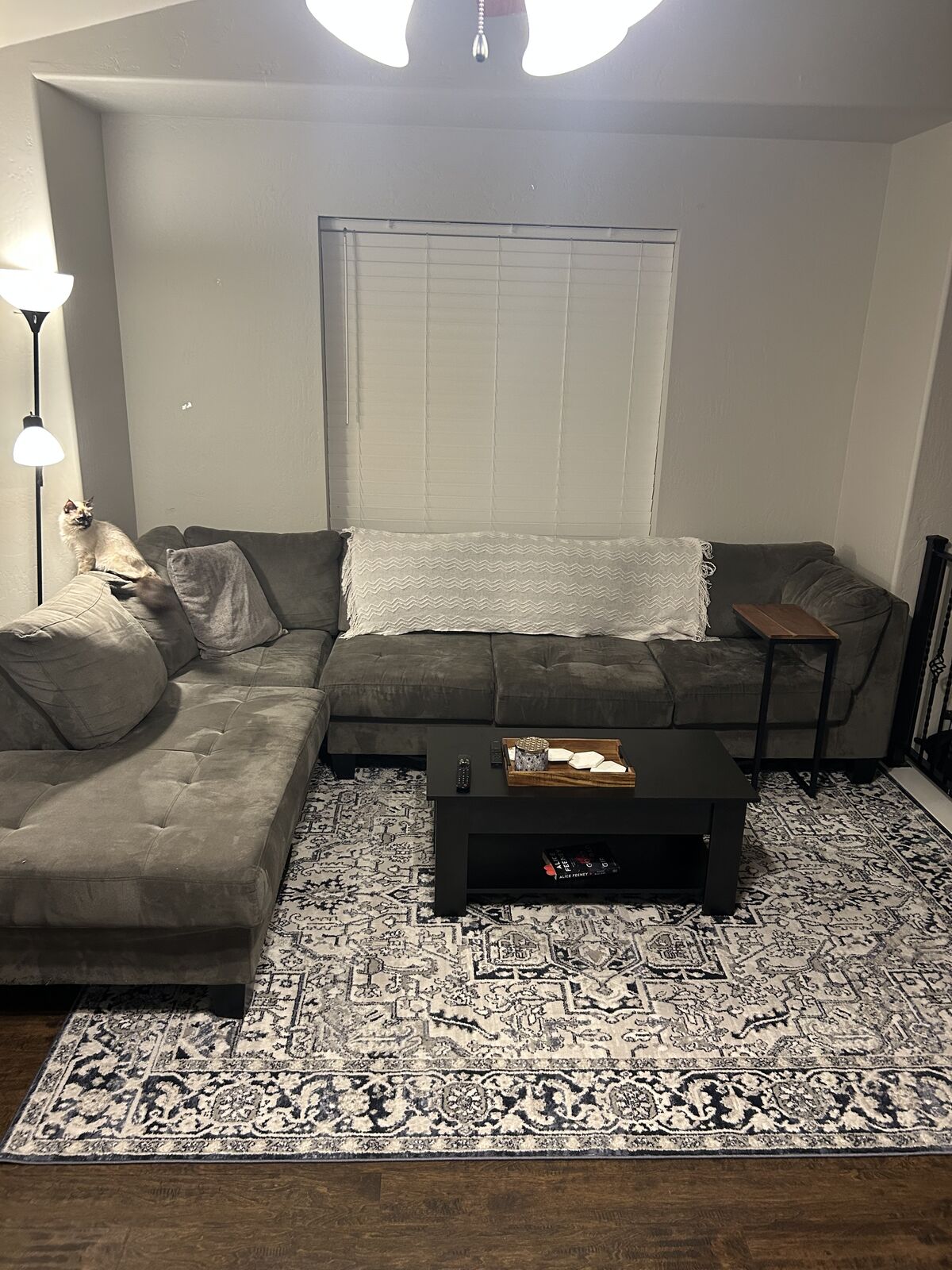 Dark Gray Sectional Couch