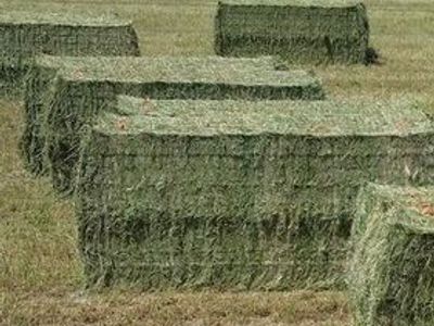 3 WAY HAY ALFALFA,OATS, GRASS