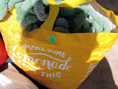 Assorted Green Chunky Yarn - Ideal for Knitting & Crochet Projects