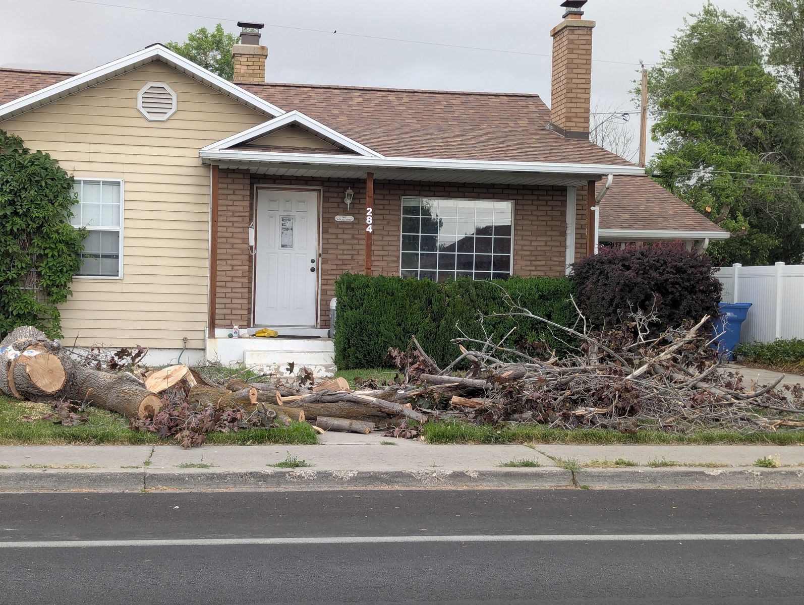 FREE Firewood