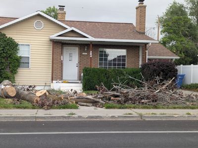 FREE Firewood