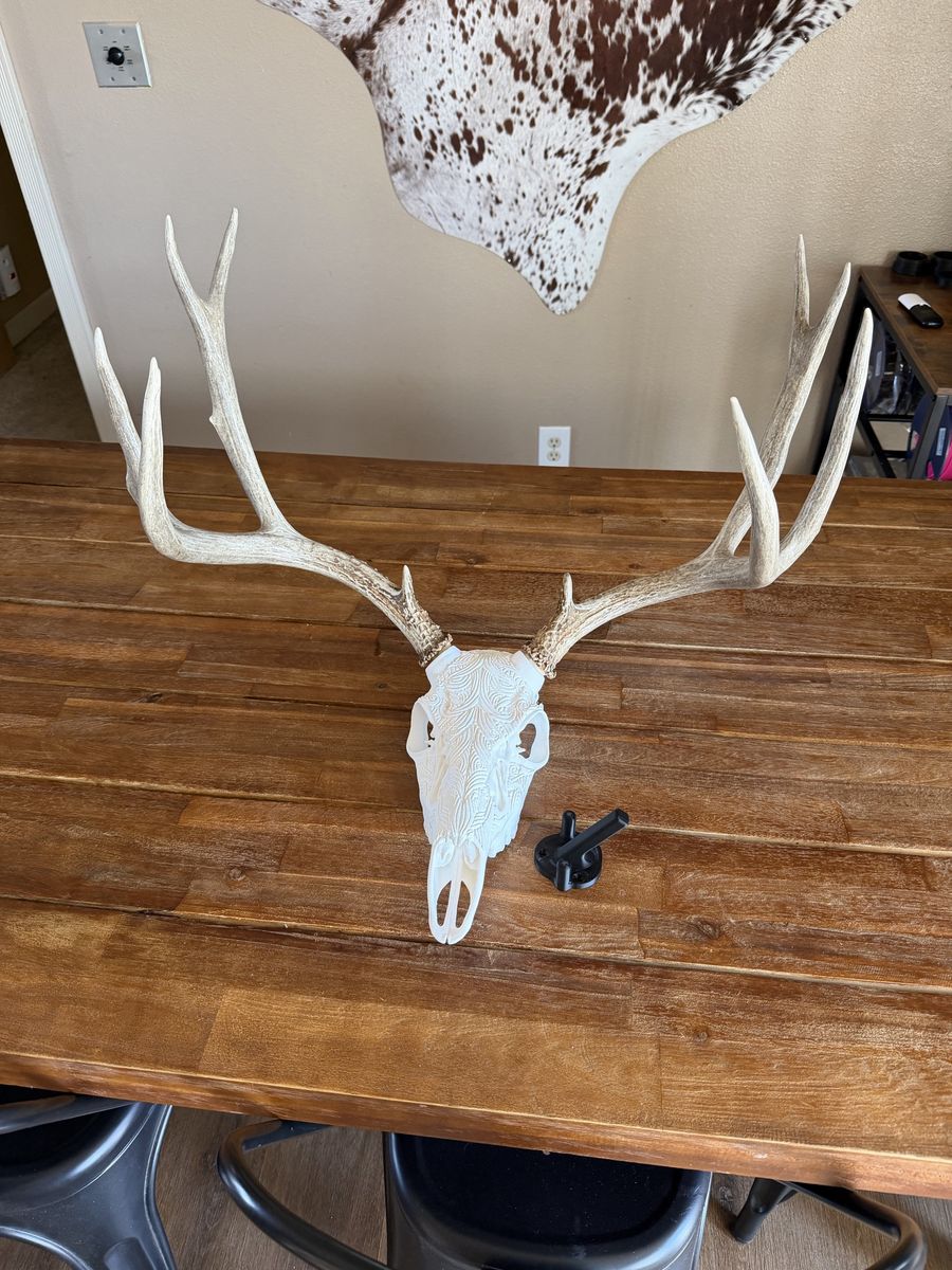 3D printed skulls