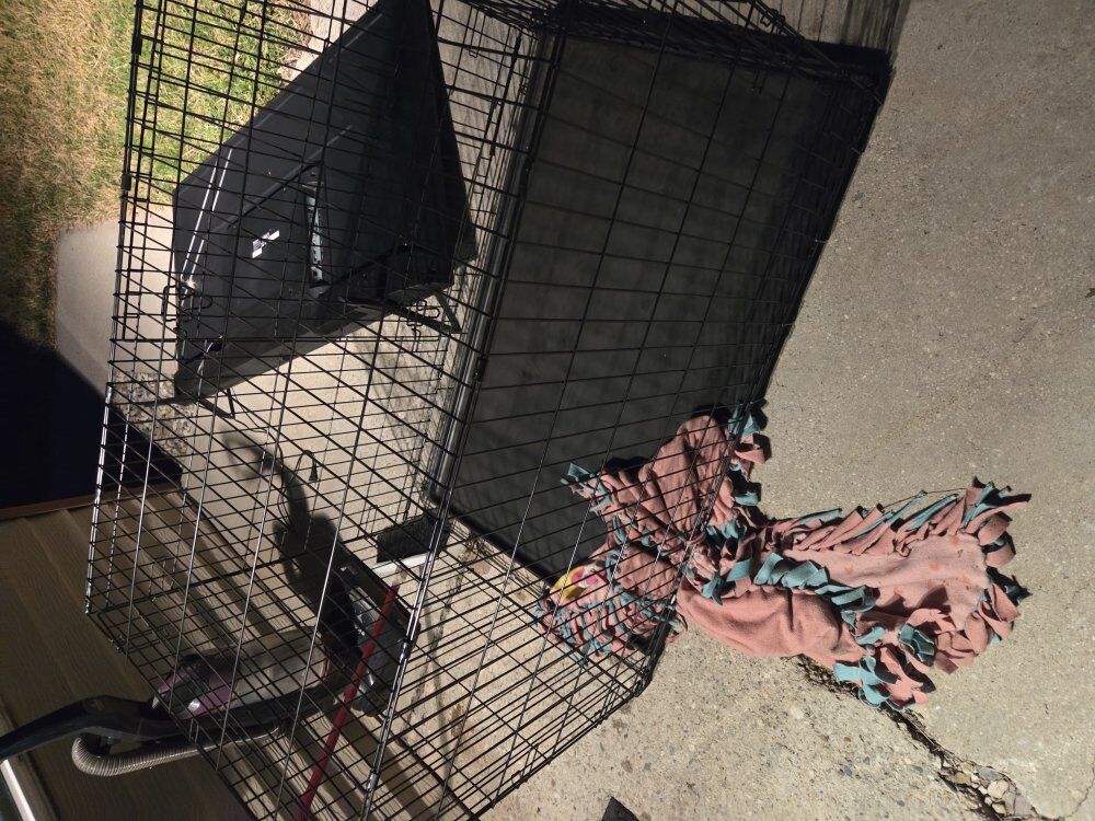 XL retriever dog crate