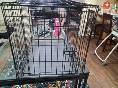 Dog kennel