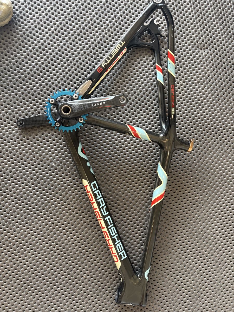 Gary Fisher superfly carbon single speed (medium-18”)