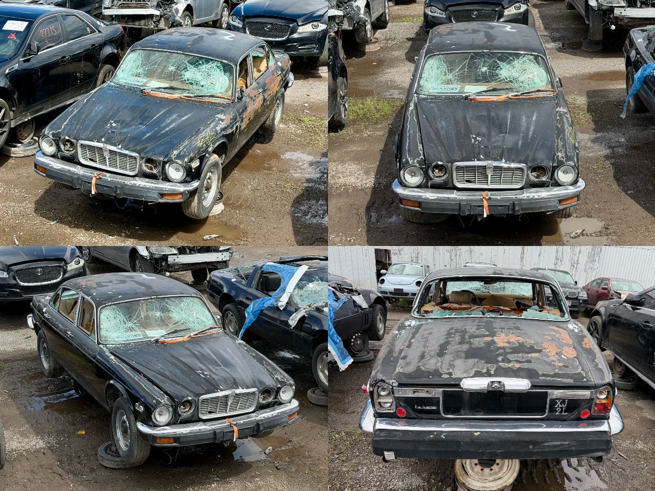 1979 Jaguar XJ-12 Parts - UTPAP Ogden