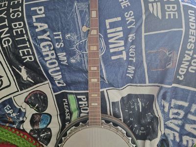 Hondo 5 string banjo.
