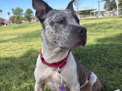 Hello my name is Mommas