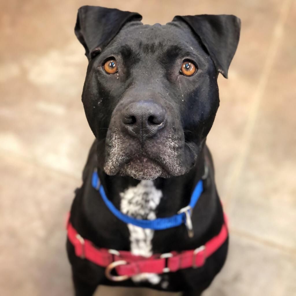 Hello my name is Ebbie