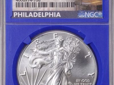 2017-(P) $1 1oz Silver American Eagle MS69 NGC - rare blue slab