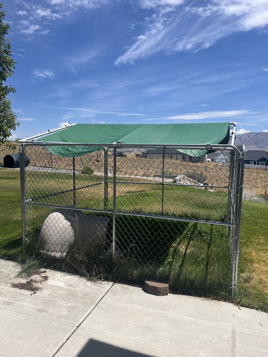 Large Outdoor Dog Kennel (10x10) - Heavy-Duty Chain Link Pet Enclosure and Dog House