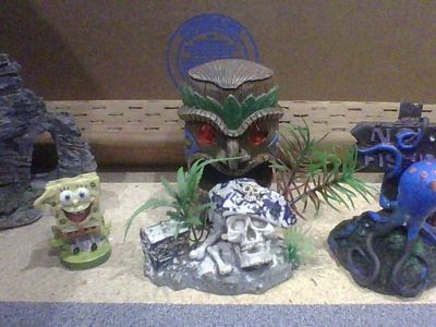 Aquarium Decoration (6 Peices)