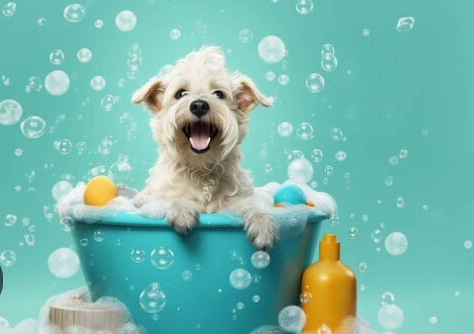 Dog Grooming