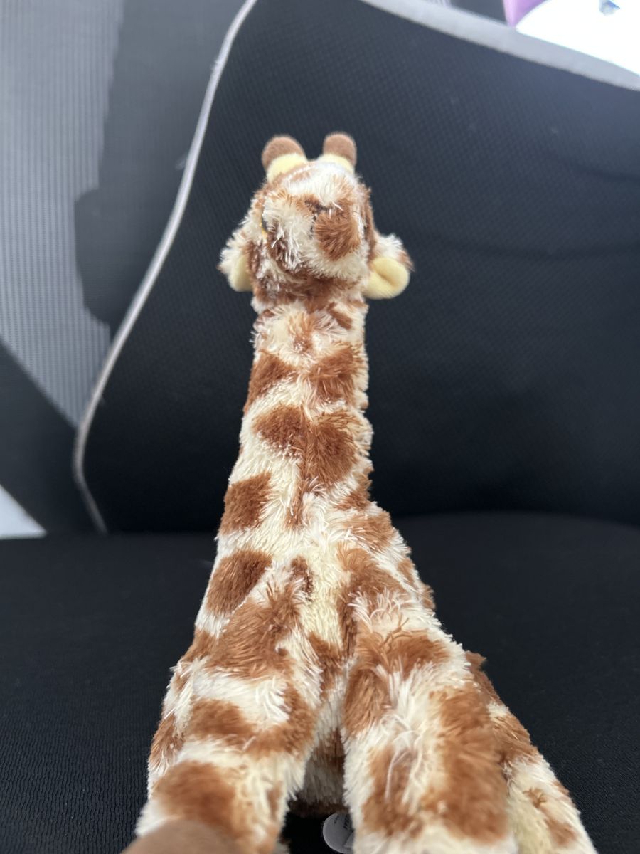 Free Giraffe