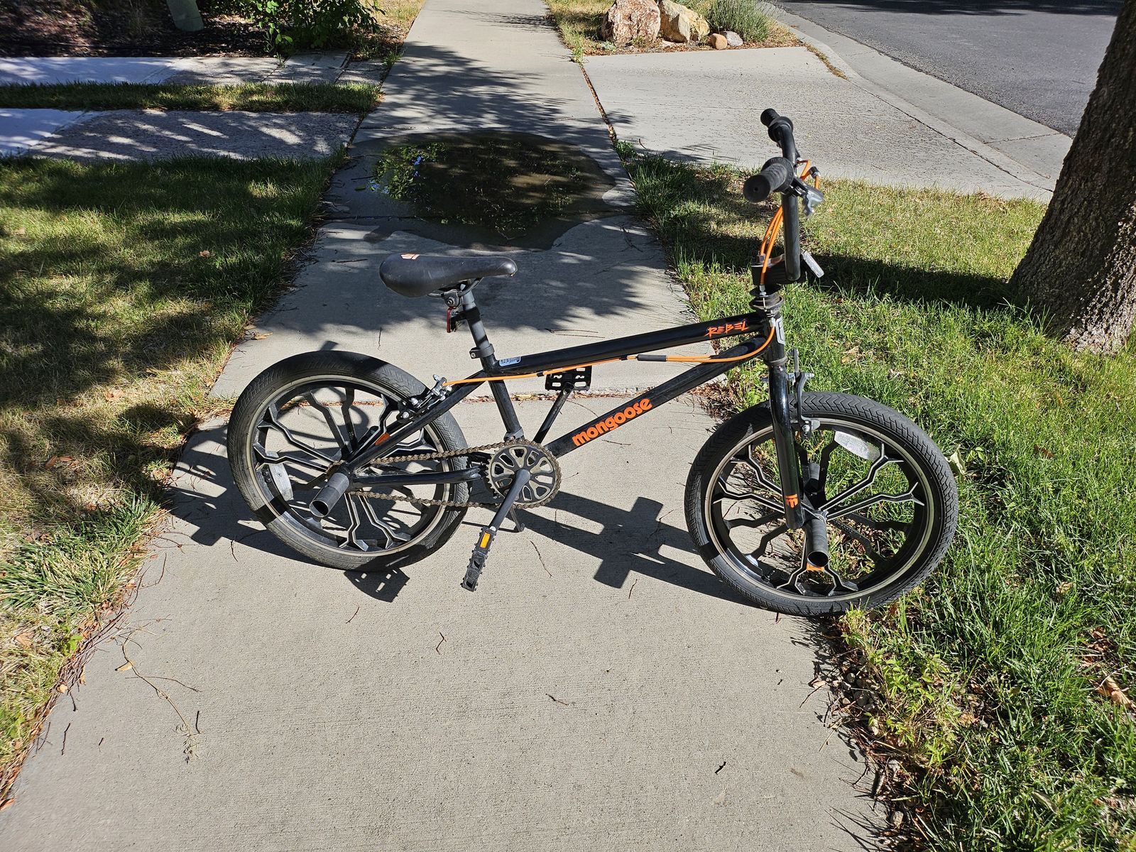 Boys Mongoose Bike