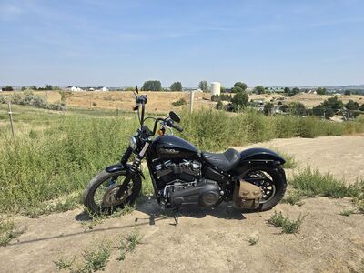 2020 Harley-Davidson Street Bob