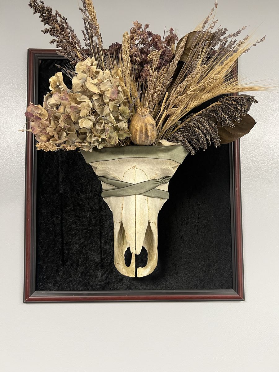 Unique Animal Skull Wall Hanging Decor with Dried Floral Arrangement water buffalo skull