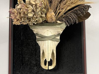 Unique Animal Skull Wall Hanging Decor with Dried Floral Arrangement water buffalo skull