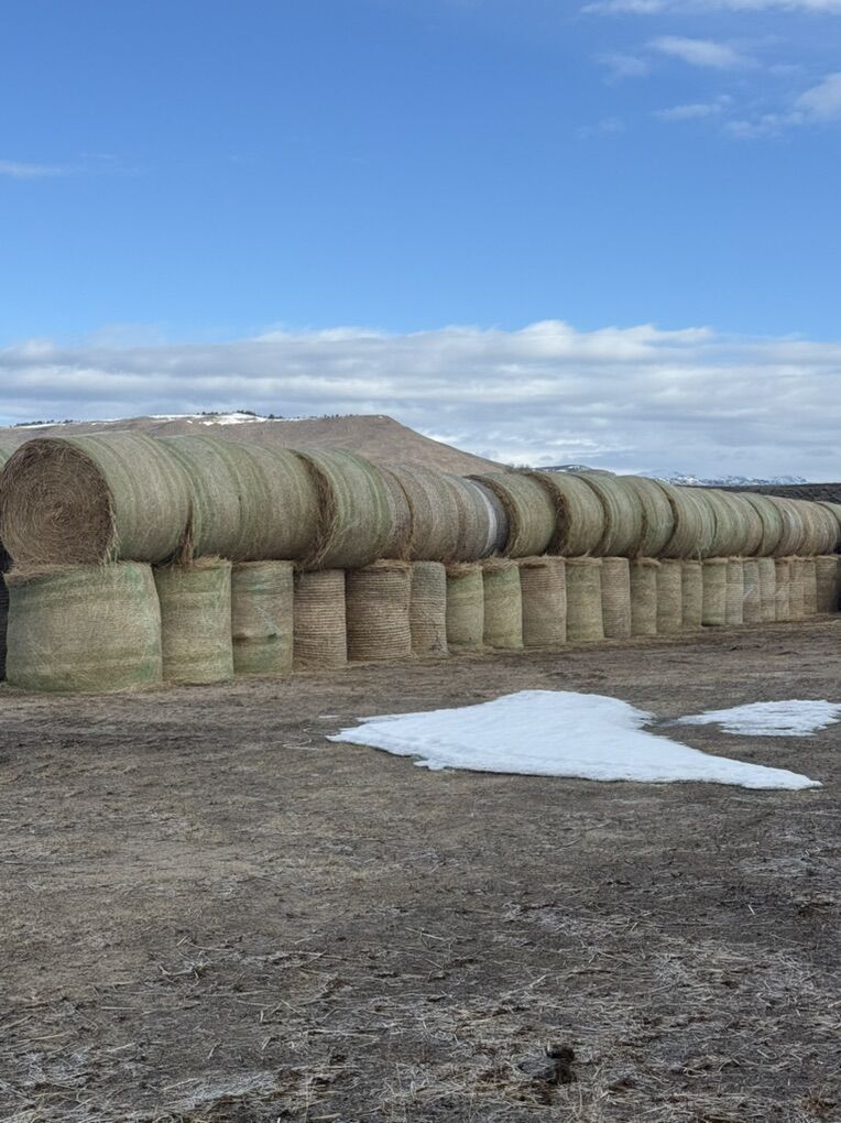 3 Way Large Round 2025 Hay $100/ton