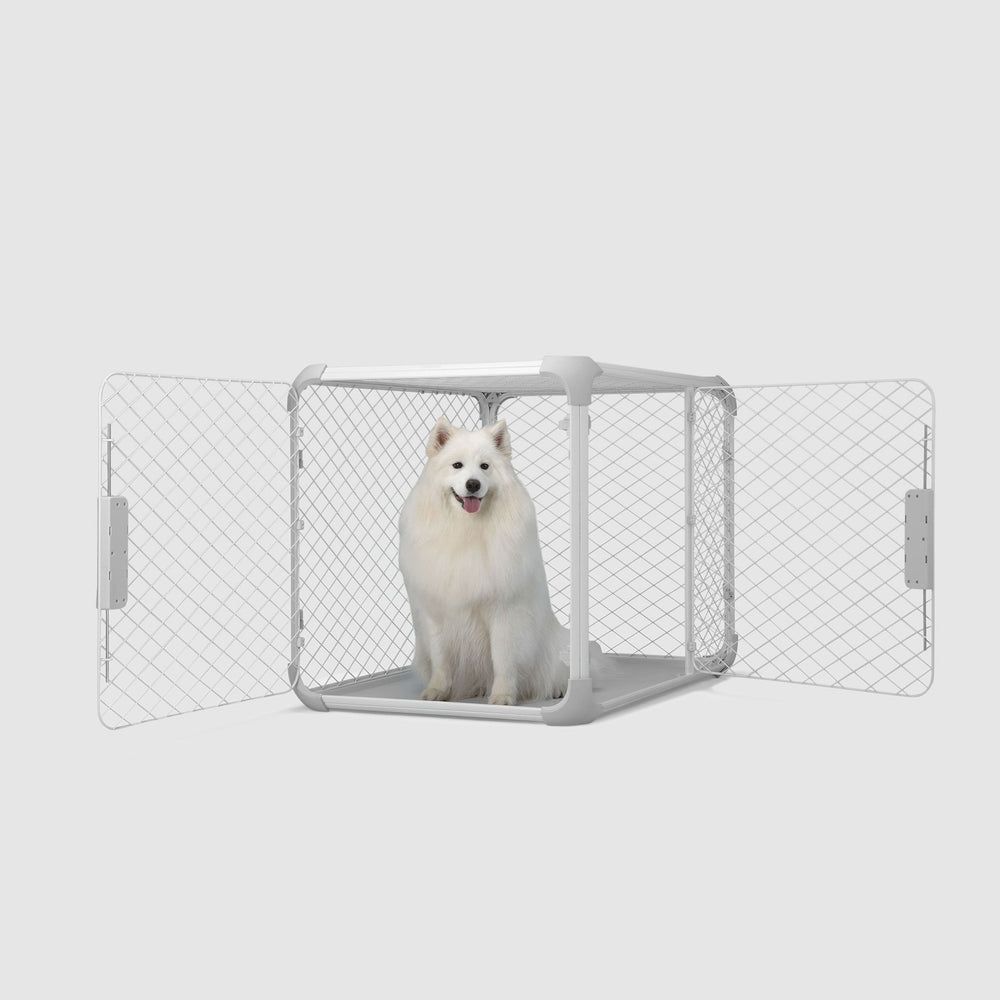 Diggs evolv large dog crate