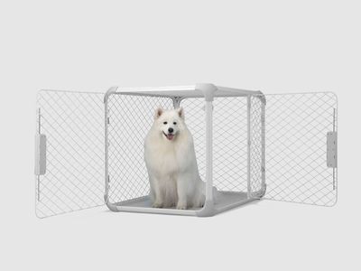 Diggs evolv large dog crate