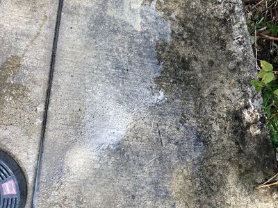 ISO Pressure Washing Business For Sale