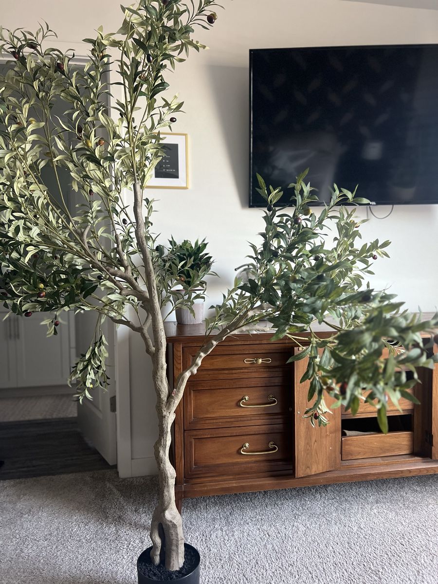 Fake Olive Tree